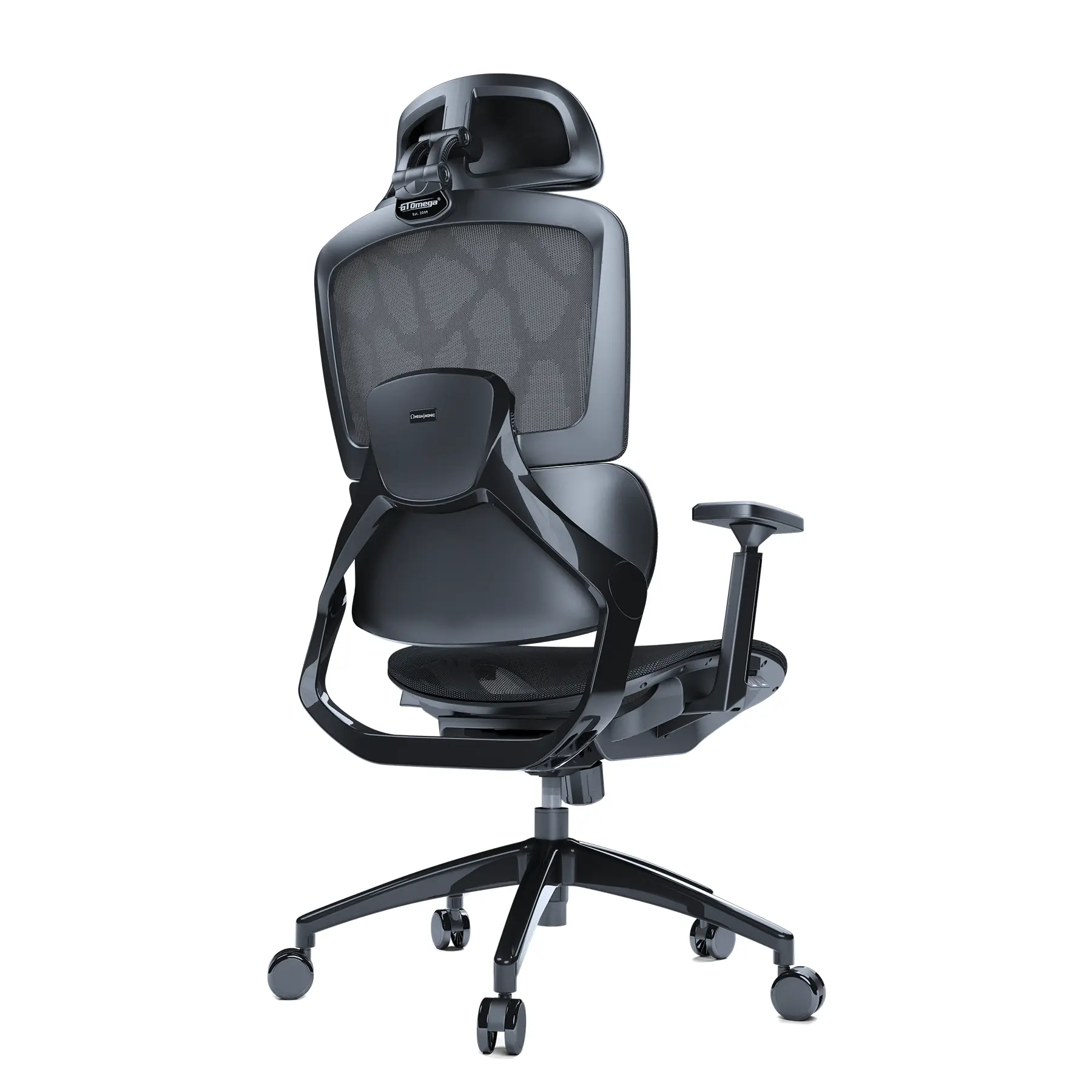 Resale - EVO Ergonomic Chair